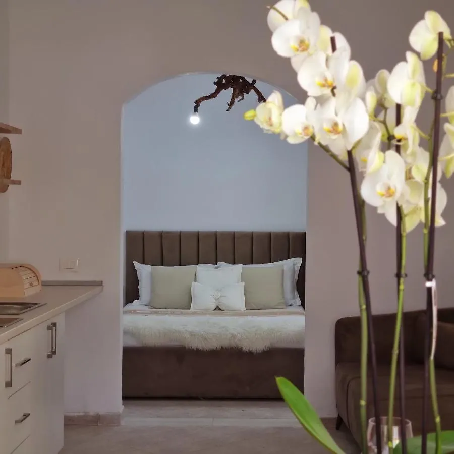 Green Villa Vlore Holiday home